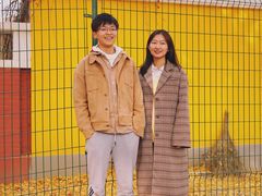-三里屯东五街银杏大道