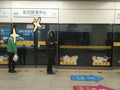 -东方体育中心(地铁站)