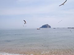 -棒棰岛宾馆景区