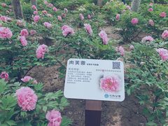-仁和公园(顺义区)