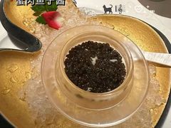 -西郊5号·Maggie 5