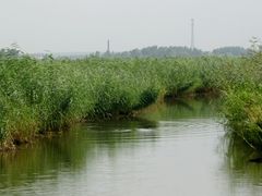 -白渔泡湿地公园