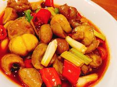 板栗烧肥肠-兔槽江湖菜·重庆璧山兔(水围店)