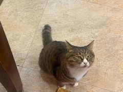 -九寨沟石锅鱼(沣峪口店)