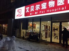 -艾贝尔宠物医院·24H转诊中心·肿瘤猫专科(江宁双龙店)