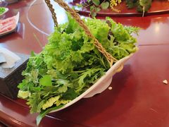-蒙都43°9羊火锅·赤峰美食(宁城店)