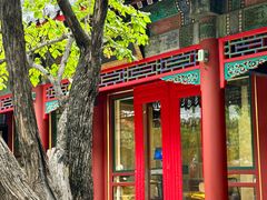 -宫事颐庭·老佛爷贵寿下午茶(颐和园店)