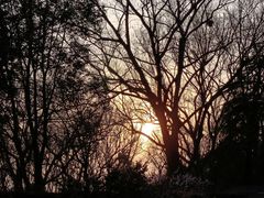 -梅花山(明孝陵内)