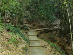 -缙云山景区