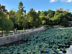 -水绘园