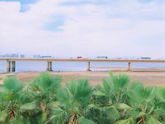 -海堤纪念公园