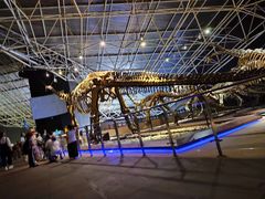 -世界恐龙谷景区