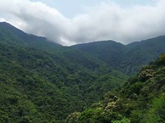 -梧桐山风景名胜区