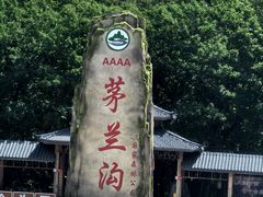 -茅兰沟国家森林公园