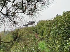 -径山寺