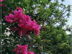 -云溪植物园