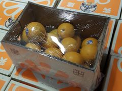 -麦德龙(十里河店)