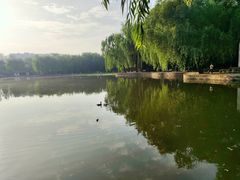 -团结湖公园