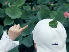 -玄武湖景区-情侣园游乐场