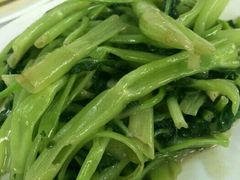 -新陶陶酒家