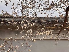 -无锡梅园公园