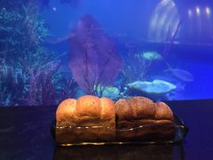 -迪拜帆船酒店海底餐厅