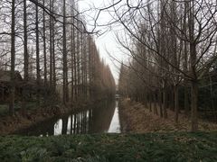 -金岛生态园烧烤露营地