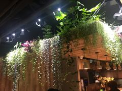 -森味薪火烧•烧鸟居酒屋•日本料理(望京店)