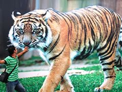 自娱自乐，爷爷拍的-西安世博园