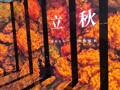 -山东省科技馆(新馆)
