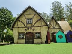 -合肥滨湖国家森林公园