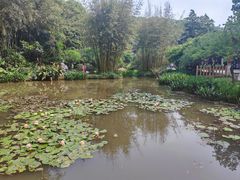 -广州市白云山风景名胜区