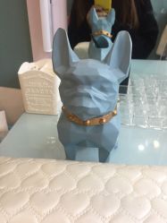 -YOUNGSKIN氧研皮肤管理中心