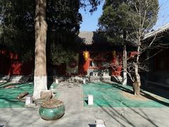 -大觉寺-停车场