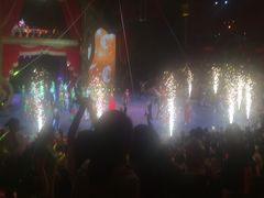 -珠海横琴长隆《卡卡虎奇遇记》