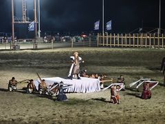 -胖大嫂渔家排档·全海景餐厅(渔村店)