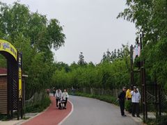 -上海长兴岛郊野公园