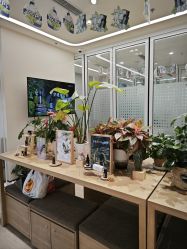 -dōTERRA多特瑞精油生活馆