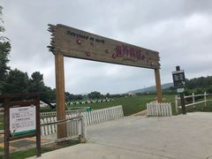 -大连铭湖国际观光牧场