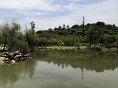-飞凤山奥体公园
