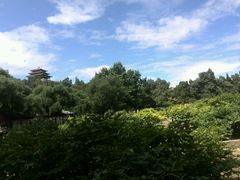 android_upload_pic-景山公园