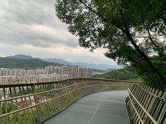 -福道
