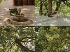 -龙坞茶村