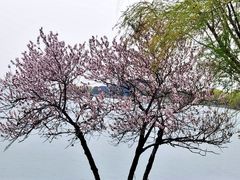 -漕湖湿地公园