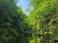 -武当山风景区