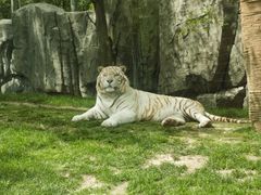 -北京野生动物园