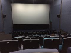 -幸福蓝海国际影城(河西店)