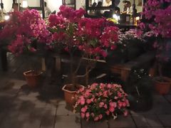 -瓦库茶馆17号(海汇港店)