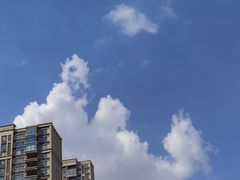 -沈阳于洪碧桂园凤凰酒店