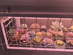 -琥珀老六龙虾(四里河店)